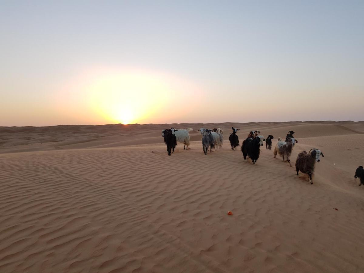 Private Bedouin Tent -Odpc Shahiq Экстерьер фото
